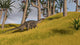 Dicraeosaurus Savanna Landscape Wall Decal Design 1