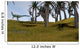 Dilophosaurus Hunting for Its Wall Decal Design 1