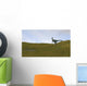 Dilophosaurus Walking across Prehistoric Wall Decal