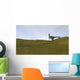 Dilophosaurus Walking across Prehistoric Wall Decal
