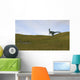 Dilophosaurus Walking across Prehistoric Wall Decal