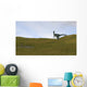 Dilophosaurus Walking across Prehistoric Wall Decal