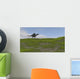 Spinosaurus Walking across Grassy Wall Decal Design 4