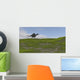 Spinosaurus Walking across Grassy Wall Decal Design 4