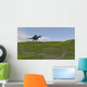 Spinosaurus Walking across Grassy Wall Decal Design 4
