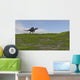 Spinosaurus Walking across Grassy Wall Decal Design 4