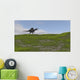 Spinosaurus Walking across Grassy Wall Decal Design 4