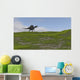 Spinosaurus Walking across Grassy Wall Decal Design 4