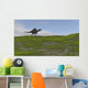 Spinosaurus Walking across Grassy Wall Decal Design 4