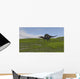 Spinosaurus Walking across Grassy Wall Decal Design 3