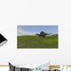 Spinosaurus Walking across Grassy Wall Decal Design 3