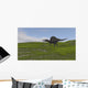 Spinosaurus Walking across Grassy Wall Decal Design 3