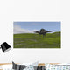 Spinosaurus Walking across Grassy Wall Decal Design 3