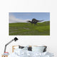 Spinosaurus Walking across Grassy Wall Decal Design 3