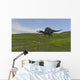 Spinosaurus Walking across Grassy Wall Decal Design 3