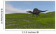 Spinosaurus Walking across Grassy Wall Decal Design 3