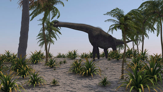 Large Brachiosaurus Grazing Foliage Wall Decal