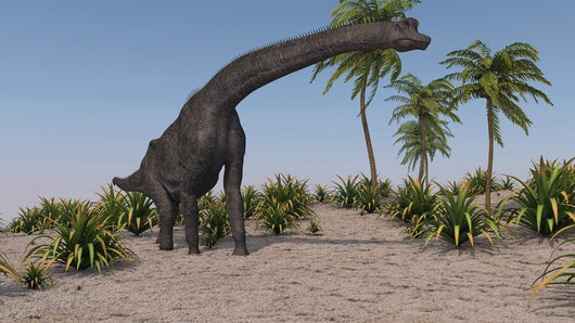Large Brachiosaurus Grazing Wall Decal Design 1
