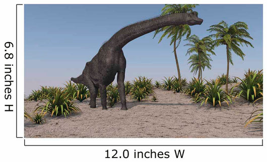 Large Brachiosaurus Grazing Wall Decal Design 1