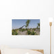 Large Brachiosaurus Roaming Prehistoric Wall Decal Design 3