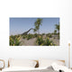 Large Brachiosaurus Roaming Prehistoric Wall Decal Design 3