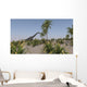 Large Brachiosaurus Roaming Prehistoric Wall Decal Design 3