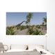 Large Brachiosaurus Roaming Prehistoric Wall Decal Design 3