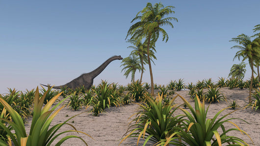 Large Brachiosaurus Roaming Prehistoric Wall Decal Design 3