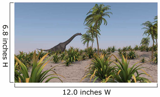 Large Brachiosaurus Roaming Prehistoric Wall Decal Design 3