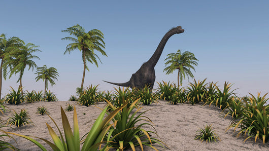 Large Brachiosaurus Roaming Prehistoric Wall Decal Design 2