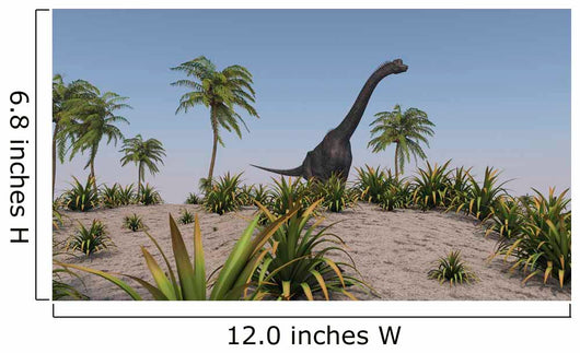 Large Brachiosaurus Roaming Prehistoric Wall Decal Design 2
