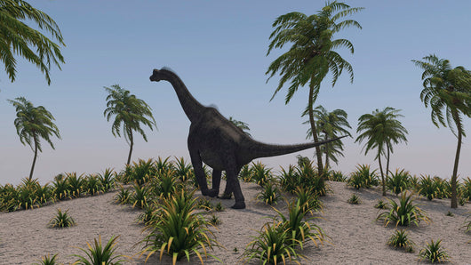 Large Brachiosaurus Roaming Prehistoric Wall Decal Design 1