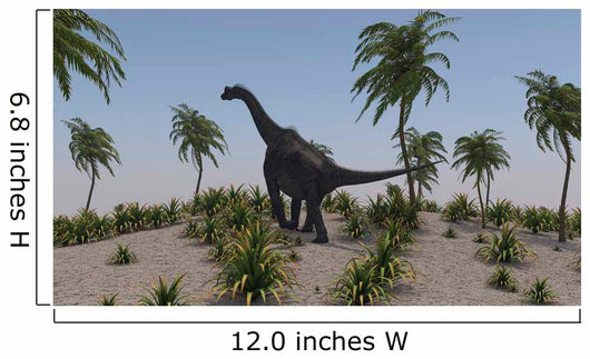 Large Brachiosaurus Roaming Prehistoric Wall Decal Design 1