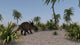 Brown Einiosaurus Prehistoric Environment Wall Decal Design 2