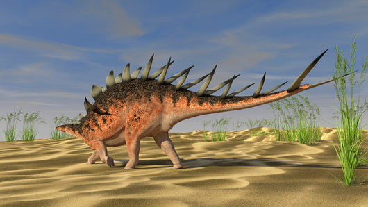 Kentrosaurus Walking across Barren Wall Decal Design 2