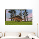 Kentrosaurus Walking across Grassy Wall Decal Design 6