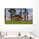 Kentrosaurus Walking across Grassy Wall Decal Design 6