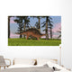 Kentrosaurus Walking across Grassy Wall Decal Design 6