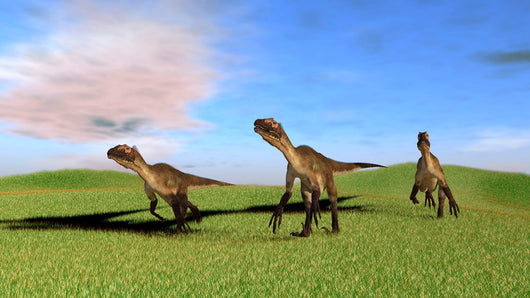 Three Utahraptors Running across Wall Decal Design 4