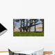 Monolophosaurus Running across Grassy Wall Decal Design 3