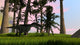 Monolophosaurus Running across Grassy Wall Decal Design 2
