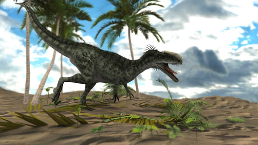 Monolophosaurus Dinosaur Prehistoric Environment Wall Decal Design 1