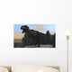 Fierce Tyrannosaurus Rex Roaring Wall Decal
