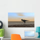 Tyrannosaurus Rex Hunting along Wall Decal