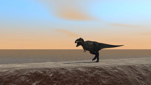 Tyrannosaurus Rex Hunting along Wall Decal