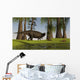 Shuangmiaosaurus Dinosaur Grazing Nearby Wall Decal