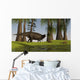 Shuangmiaosaurus Dinosaur Grazing Nearby Wall Decal