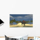 Spinosaurus Standing Shallow Water Wall Decal