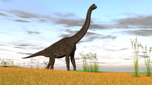 Large Brachiosaurus Grassy Field Wall Decal