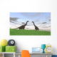 Two Large Brachiosaurus Grassy Wall Decal